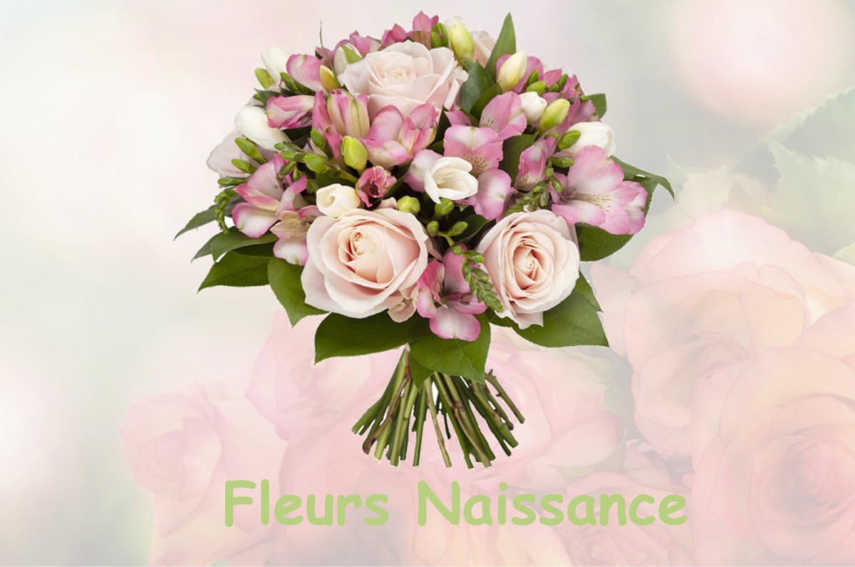 fleurs naissance NURET-LE-FERRON