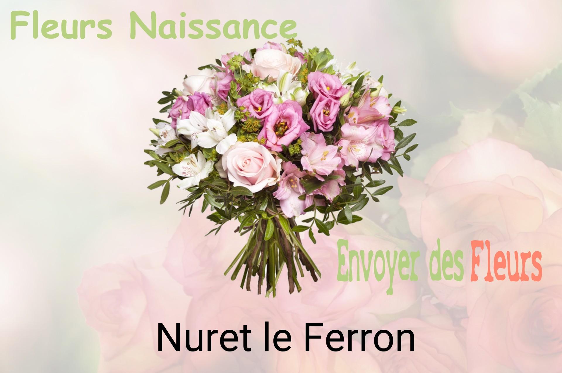 Bouquet de fleurs de naissance livré à Nuret-le-Ferron